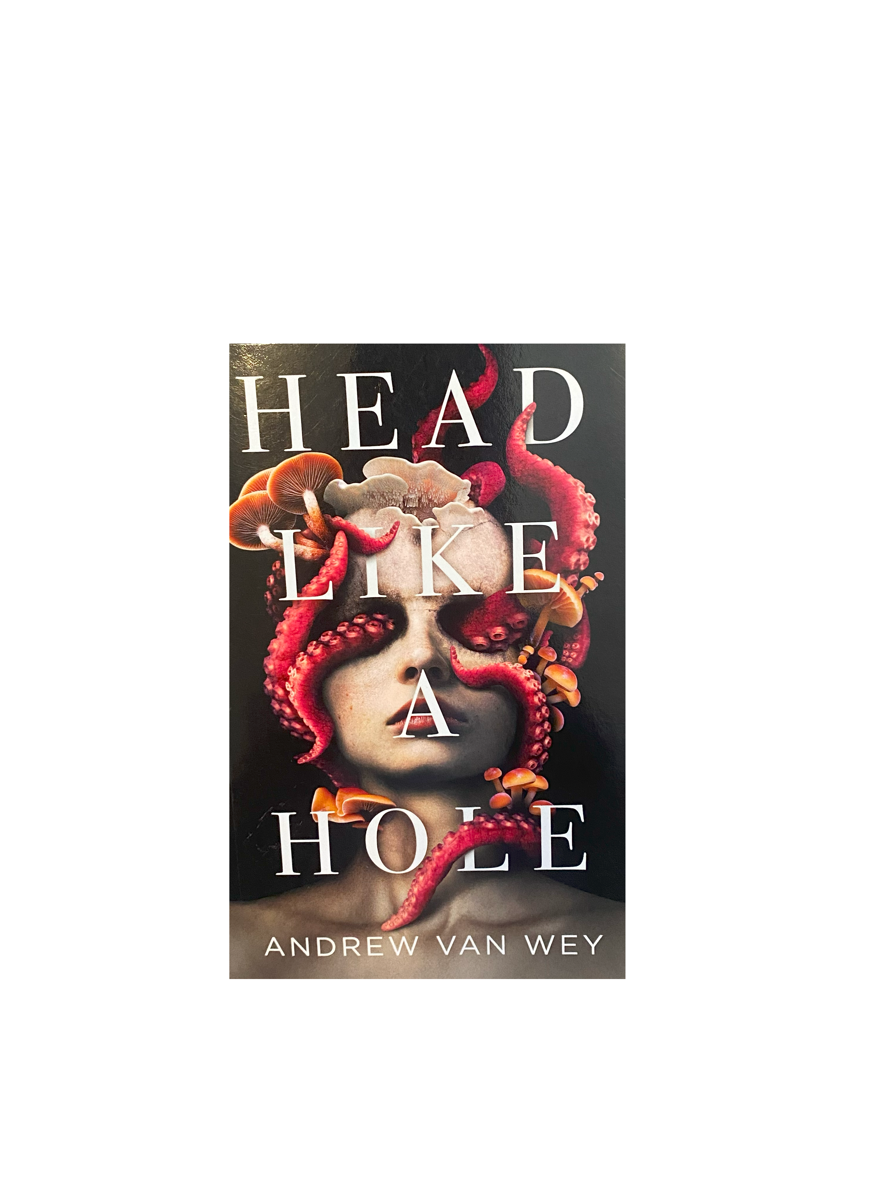 Head Like a Hole